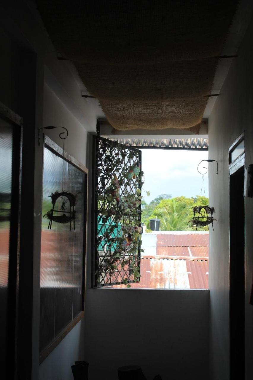 Hotel Gavas Amazonas Leticia Zewnętrze zdjęcie