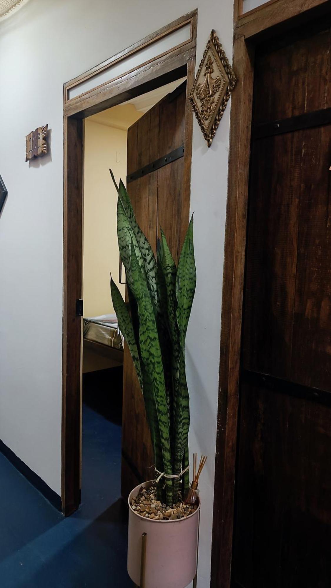 Hotel Gavas Amazonas Leticia Zewnętrze zdjęcie